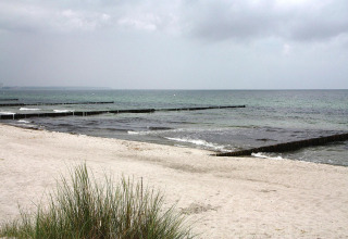 Photo of the beach at Holiday park Markgrafenheide Warnemünde Type 1 in Germany, with sea and sand.
