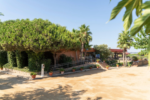 Außenansicht mit Bäumen, Palmen und Terrasse beim Camping del Mar Bungalow Premium in Spanien.