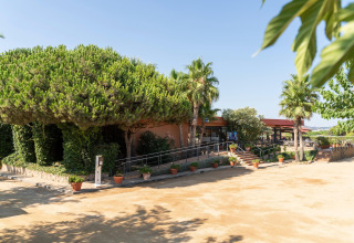 Außenansicht mit Bäumen, Palmen und Terrasse beim Camping del Mar Bungalow Premium in Spanien.