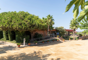 Zona exterior con árboles, palmeras y terraza en Camping del Mar Bungalow Premium en España.