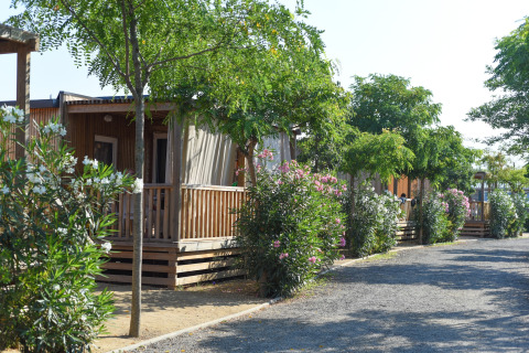 Mobilhjemmet Els Pins- Mobile-Home Plus 2 i Spanien med træterrasse omgivet af grønne planter.