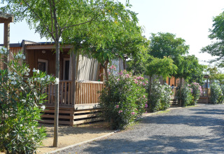 Mobilhjemmet Els Pins- Mobile-Home Plus 2 i Spanien med træterrasse omgivet af grønne planter.