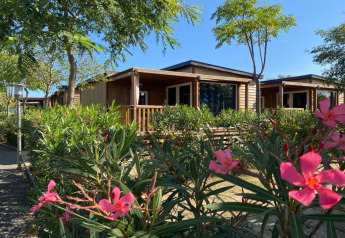 Mobil home 'Els Pins - Mobile-Home Plus 2' en España, rodeado de vegetación y flores rosas.