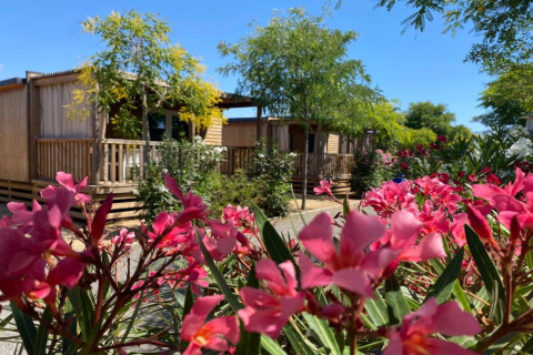 Mobilhjemmet 'Els Pins- Mobile-Home Plus 2' i Spanien omgivet af blomster og grønne træer en solrig dag.