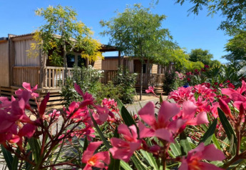 ‘Els Pins- Mobile-Home Plus 2’ en España, rodeado de flores rosas y vegetación en un día soleado.