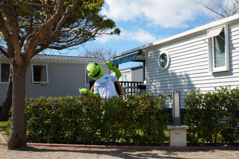 En person i et skildpaddekostume står bag en hæk foran moderne glampingindkvartering og smiler.