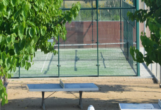 Udendørs bordtennisbord under træer og indhegnet padelbane i baggrunden ved en mobilhome-plads.