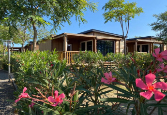 Mobil home Els Pins- Mobile-Home Plus 3 en España, rodeado de árboles y arbustos en flor en verano