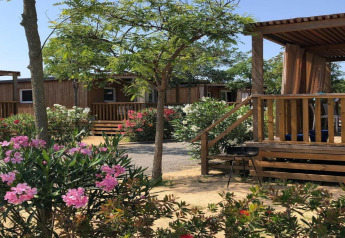 Casa móvil Els Pins en España con terraza de madera, arbustos florecidos y árboles en entorno soleado.