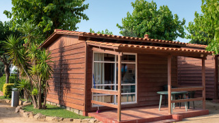 Træbungalow med terrasse hos Els Pins- Bungalow Comfort, omgivet af grønne planter og træer.