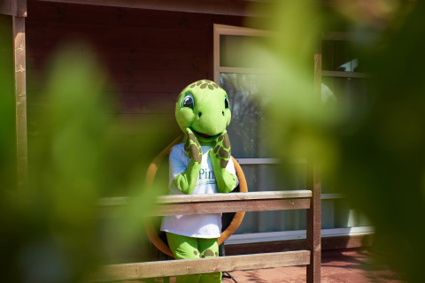 A person in a green turtle costume stands behind a wooden fence at Els Pins- Bungalow Comfort in Spain.