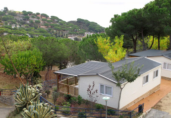Casa mobile per sei persone al Camping Rocagrossa, immersa tra alberi e colline in un ambiente sereno.