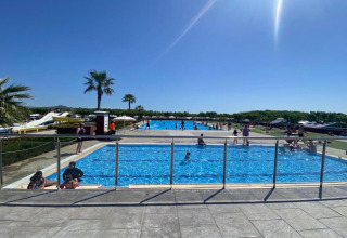 Outdoor swimming pool with children, adults, palm trees and slides at Els Pins-Bungalow Comfort in Spain.