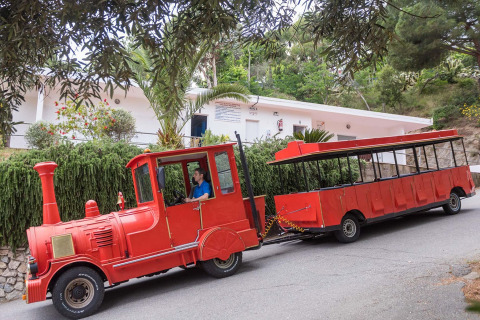 Trenino turistico rosso con conducente davanti alle case mobili verdi al Camping Rocagrossa, Spagna.
