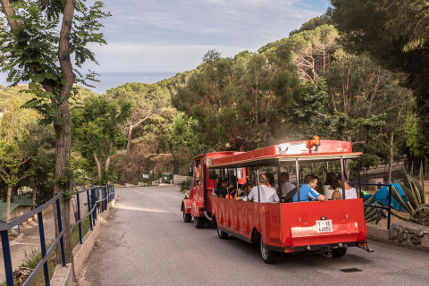 Een rode toeristentrein rijdt tussen het groen bij Camping Rocagrossa Mobile Home in Spanje.