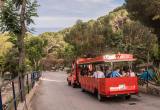 Un trenino turistico rosso attraversa il verde al Camping Rocagrossa Mobile Home in Spagna.