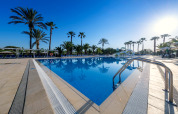 Ampia piscina all’aperto circondata da palme e lettini in un lussuoso glamping sotto il cielo estivo.