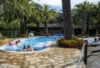 Udendørs poolområde med palmer og mennesker, set på et glamping-ophold under solrige himmelstrøg.