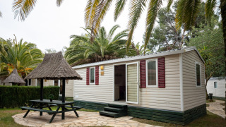Udendørs billede af Torre del Sol COTTAGE PALMA med palmer, picnicbord og stråtag i haven.