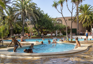 Familier nyder en udendørs swimmingpool omgivet af palmer på et glampingsted under solrigt vejr.