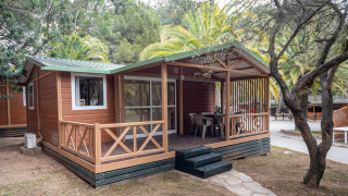 Træhytte ved Torre del Sol Chalet Baobab, omgivet af palmetræer og natur, med veranda og havemøbler.