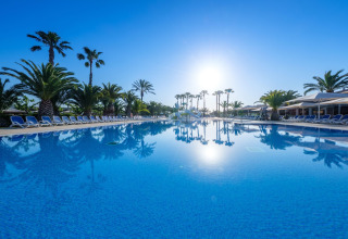 Piscina grande en un alojamiento de glamping rodeada de palmeras y tumbonas bajo un cielo despejado.