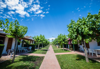 Sendero entre cabañas de glamping rodeadas de árboles y césped bajo un cielo azul parcialmente nublado.