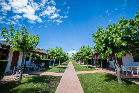 Vue sur tentes safari glamping et chalets bordés d’arbres au Camping Estival Vendrell Platja en Espagne.
