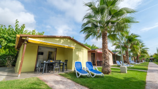 Bungalows colorés au Camping Estival Vendrell Platja avec palmiers, chaises longues et pelouse verte.