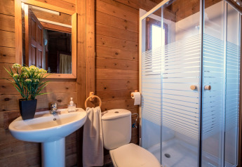 Salle de bain avec murs en bois, WC blanc, lavabo, miroir, douche vitrée et plante en pot noire.