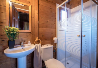 Badeværelse med trævægge, hvidt toilet, håndvask med spejl, brusekabine og planter i sort potte.