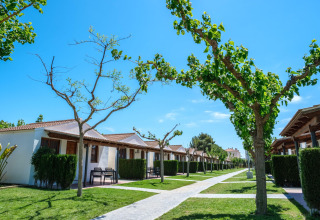 Række af bungalows på CAMPING ESTIVAL VENDRELL PLATJA under en klar blå himmel i Spanien med grønne træer.