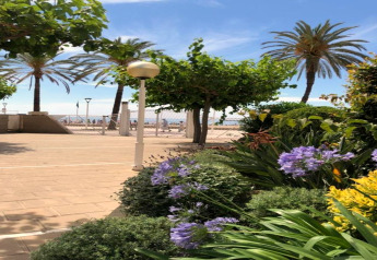 Jardin fleuri avec palmiers, vue sur la promenade de la plage au Camping Estival Vendrell Platja en Espagne.