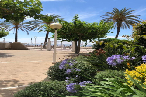 Have med lilla blomster og palmer, udsigt til strandpromenade og hav ved Camping Estival Vendrell Platja i Spanien.