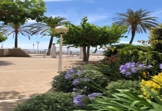 Have med lilla blomster og palmer, udsigt til strandpromenade og hav ved Camping Estival Vendrell Platja i Spanien.