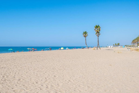 Strandbillede ved Camping Estival Vendrell Platja, Spanien, med palmer, parasoller og blå himmel.