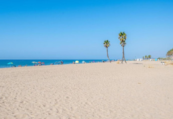 Strand bij Camping Estival Vendrell Platja in Spanje met palmbomen, parasols en een heldere blauwe lucht.