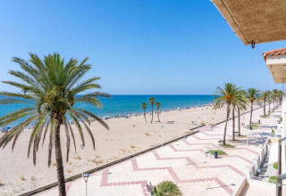 Udsigt fra CAMPING ESTIVAL VENDRELL PLATJA BUNGALOW 4 STANDARD til strandpromenade, palmer og Middelhavet.