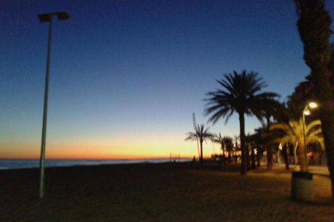 Aftenudsigt over stranden med palmer og gadelamper ved Camping Estival Vendrell Platja, Spanien.