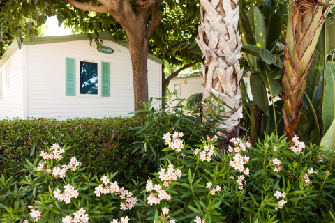 Mobilhome ved Camping Cambrils Playa BUNGALOW OHARA i Spanien, omgivet af grønne planter og palmer.