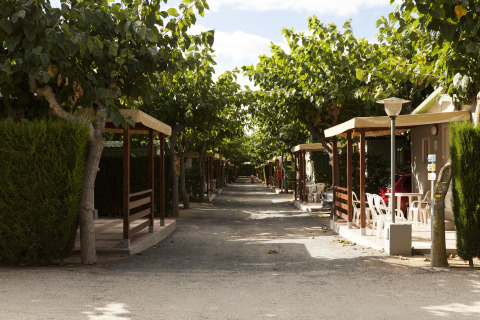 Mobilhomeområde hos Camping Cambrils Playa BUNGALOW OHARA i Spanien med træer og verandaer.