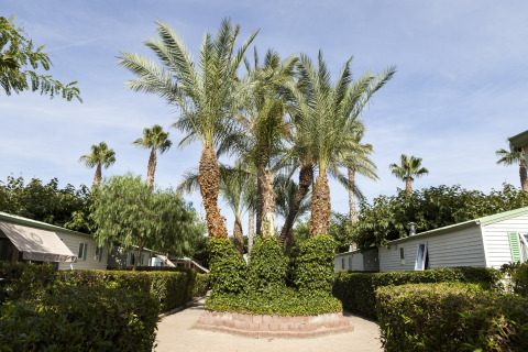 Palmer midt i en campingplads ved mobilhjemmet Camping Cambrils Playa BUNGALOW OHARA i Spanien.