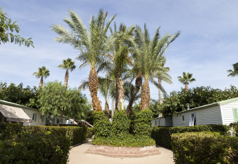 Palmbomen op een camping bij het mobiel huis Camping Cambrils Playa BUNGALOW OHARA in Spanje.