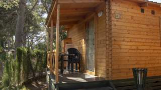 Træhytte glamping indkvartering i skovområde med terrasse og plastikmøbler under træerne.