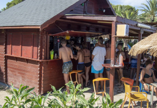 Persone in costume si ritrovano al bar di legno sulla spiaggia in un glamping circondato da palme.