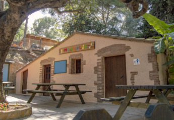 Espace extérieur avec bancs de pique-nique devant une bâtisse 'Mini Club' dans un glamping forestier.