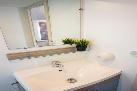 Moderno lavabo de baño con espejo y planta en estante en Torre del Sol COTTAGE PALMA en España.