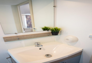 Moderno lavabo de baño con espejo y planta en estante en Torre del Sol COTTAGE PALMA en España.