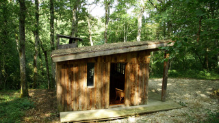 Holzhütte namens Ecolodge en Sequoia im Wald, mit geneigtem Dach und kleiner Terrasse im Sonnenlicht.