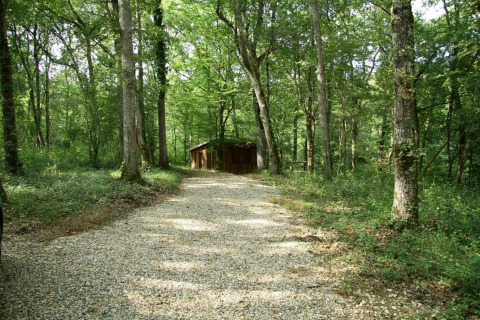 A gravel path leads to a wooden cabin in the lush forest of Ecolodge «en Sequoia» in France.